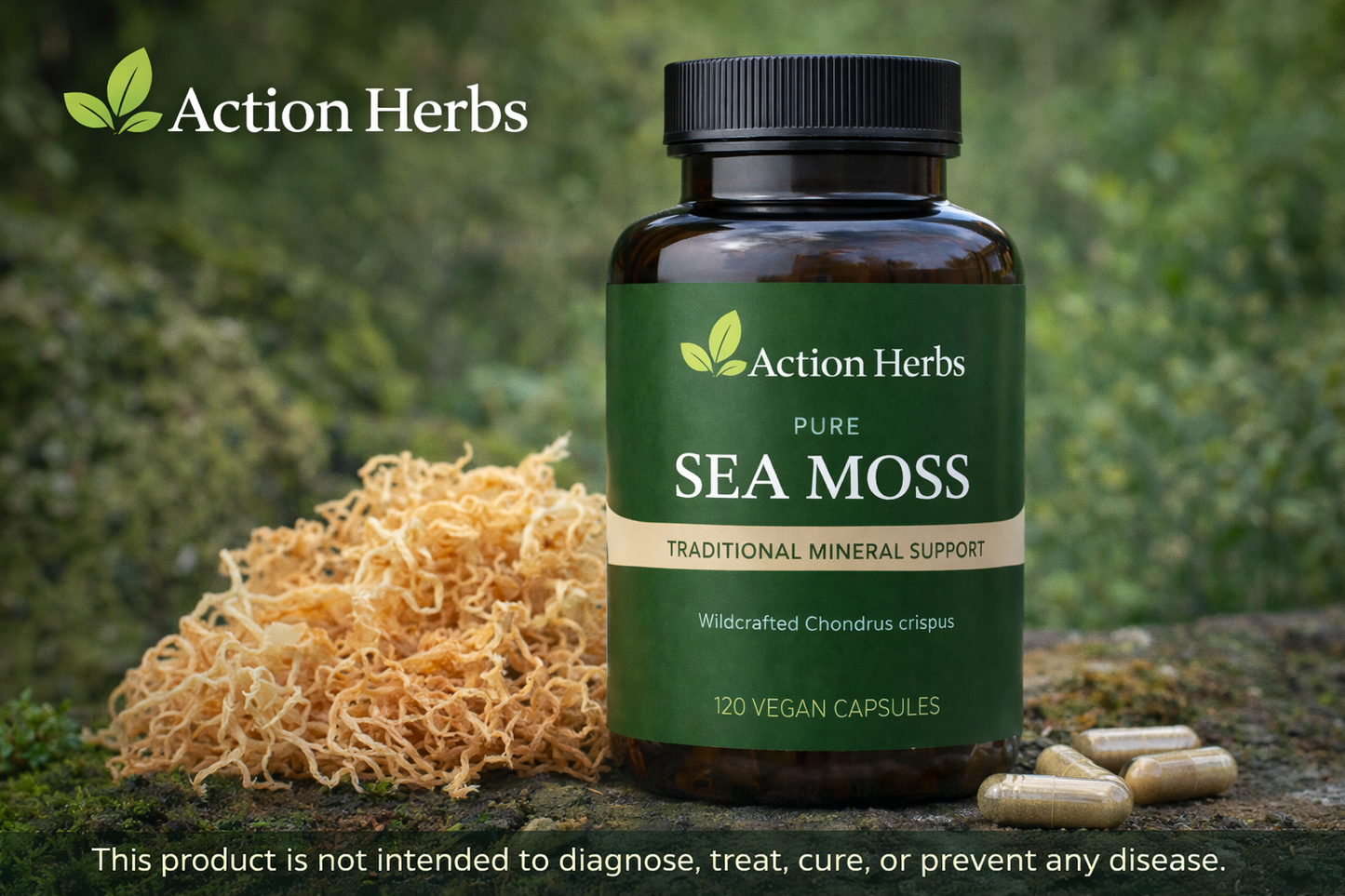 Sea Moss Capsules - 120 Capsules