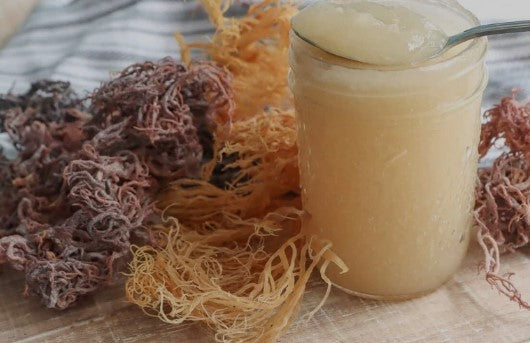 Sea Moss Gel